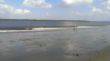 IMAG0557.jpg